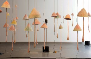 'Hold Fast, Stand Sure, I scream a revolution, Serena Korda, Reid Gallery, GSA (2016). Photo: Alan Macateer