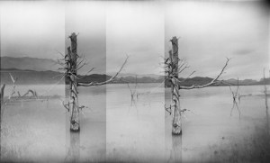 'Untitled', from 'Unbound' Series, (2015) Christina MacBride