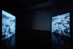 'Vacaresti' installation, Florin Tudor & Mona Vatamanu, Cooper Gallery, DJCAD, Dundee UK