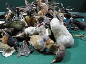 'Sonology of a Mute Spectacle', Mark Vernon, (2003), Lamb Gallery, University of Dundee