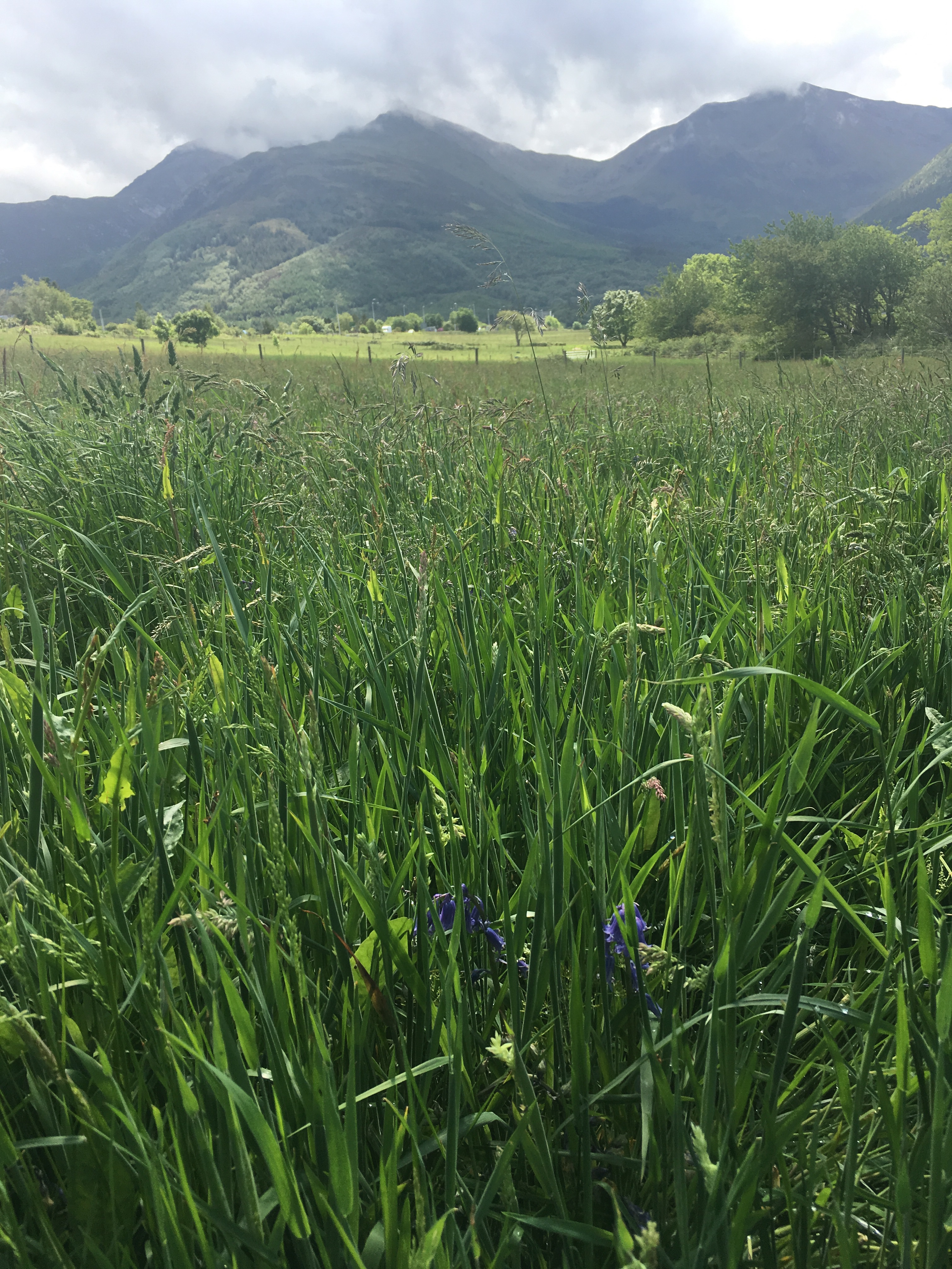 North Ballachulish. Photo: Jenny Brownrigg